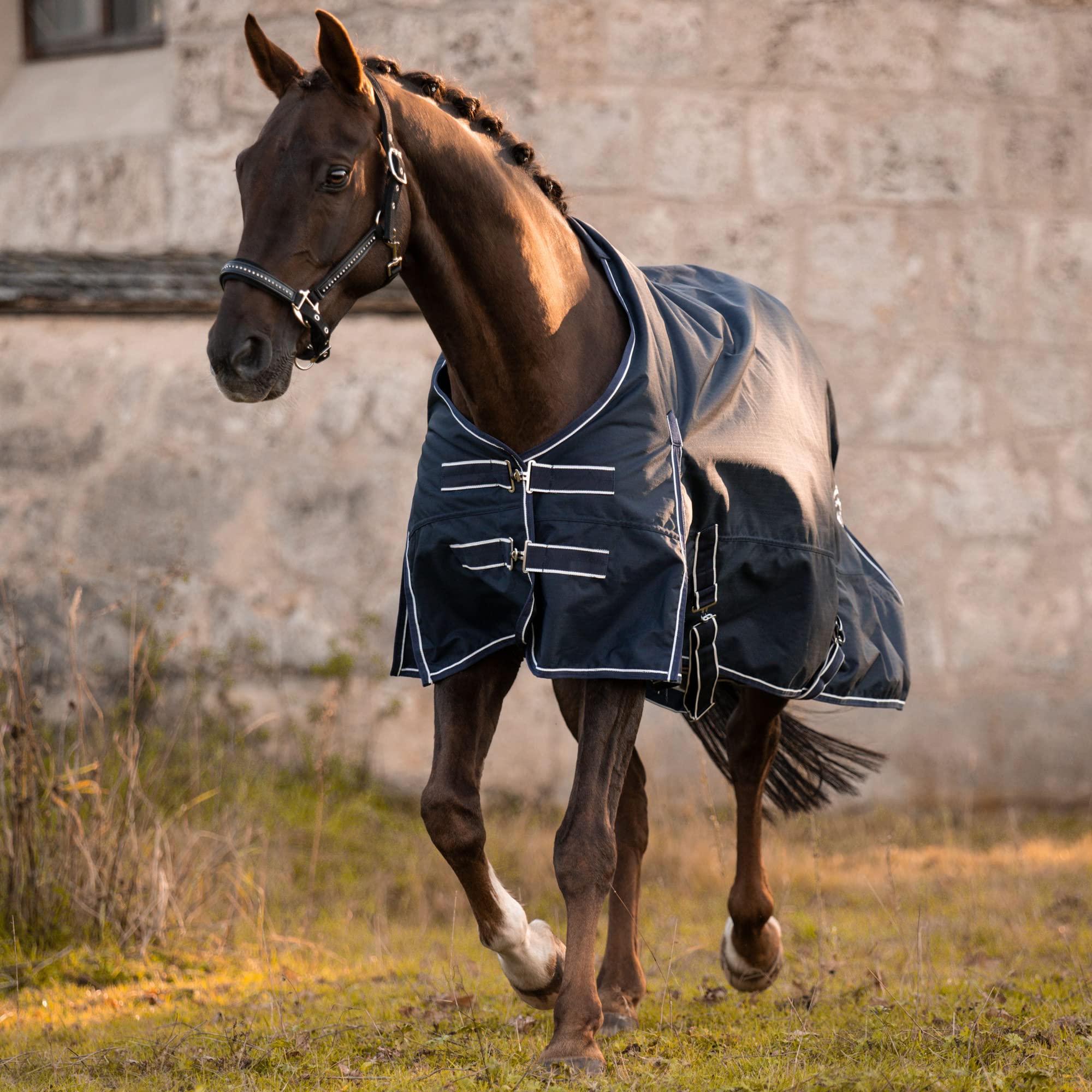 Manta impermeable para caballo (azul marino, 145)
