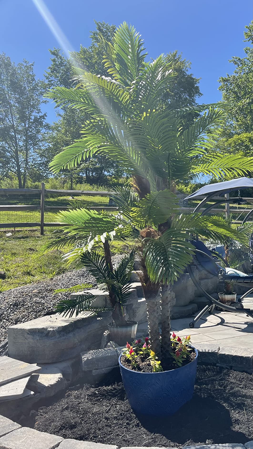 45/mo Finance AnTing Artificial Palm Tree 8.5ft Tall Trees Plants