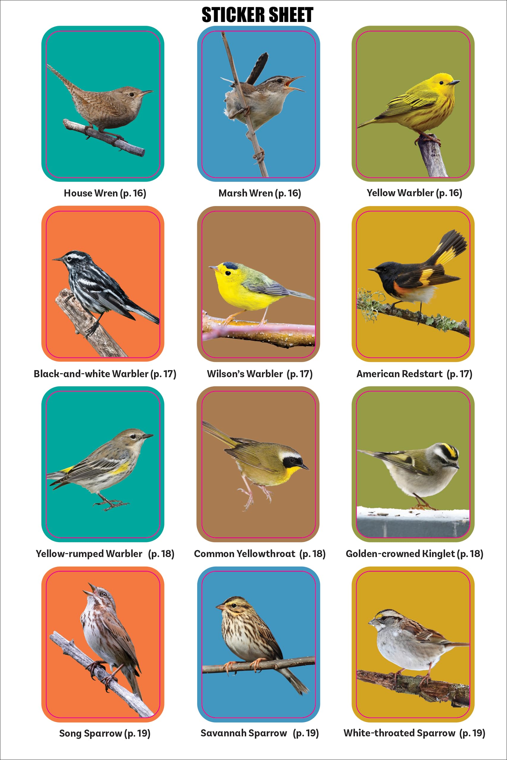 Birder's Logbook: A Seek-and-Sticker Book for Budding Ornithologists (comes with 100 full-color stickers of birds!) - Image 9