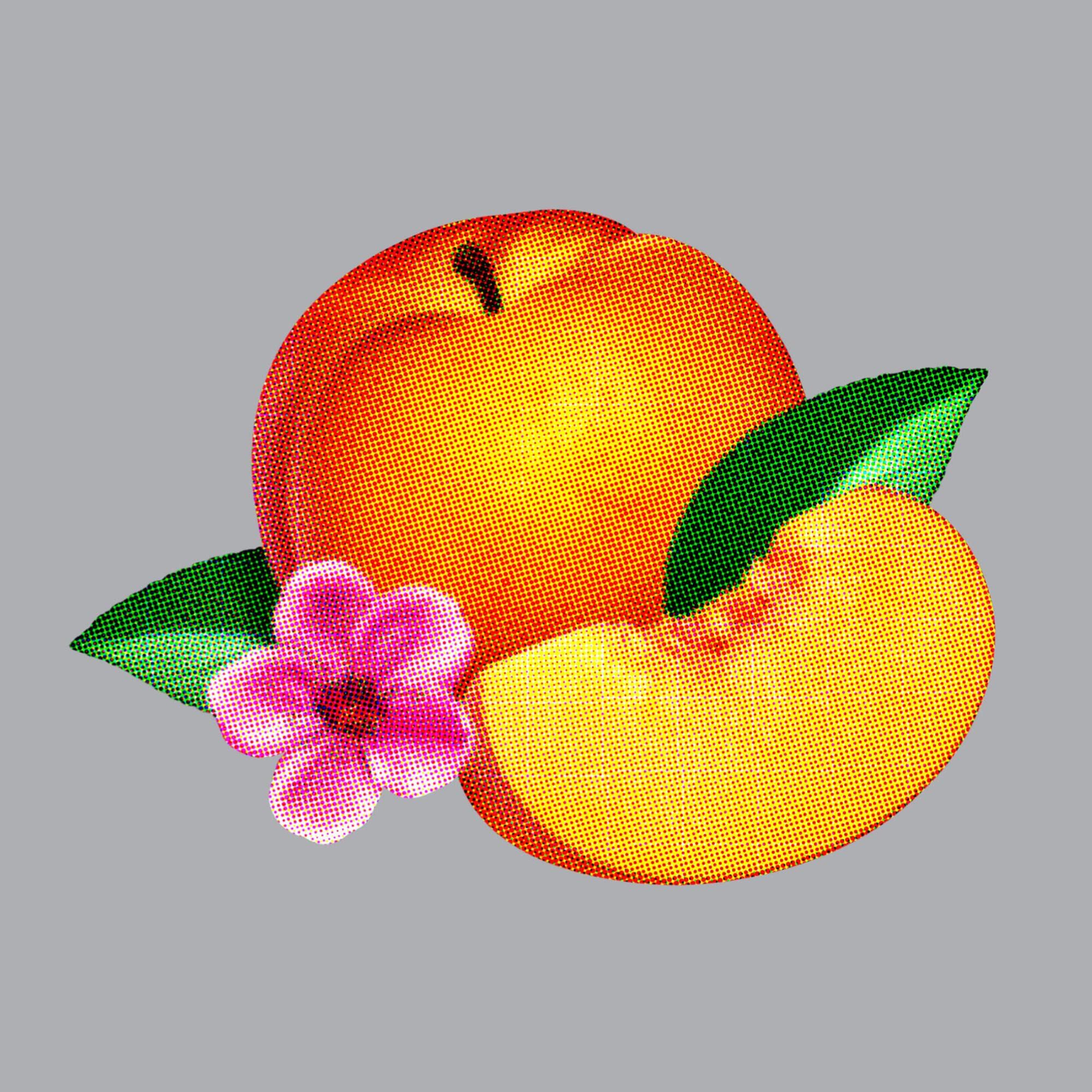 Bankrupt! [Audio CD] Phoenix