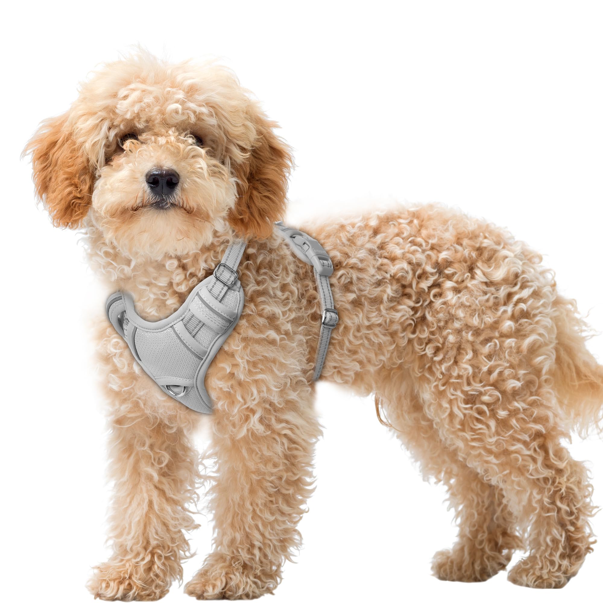 BARKBAY No Pull Dog Harness Large Reflective Dog Harness with Front Clip and Easy Control Handle for Walking Training Running with ID tag Pocket(Grey,XS)
