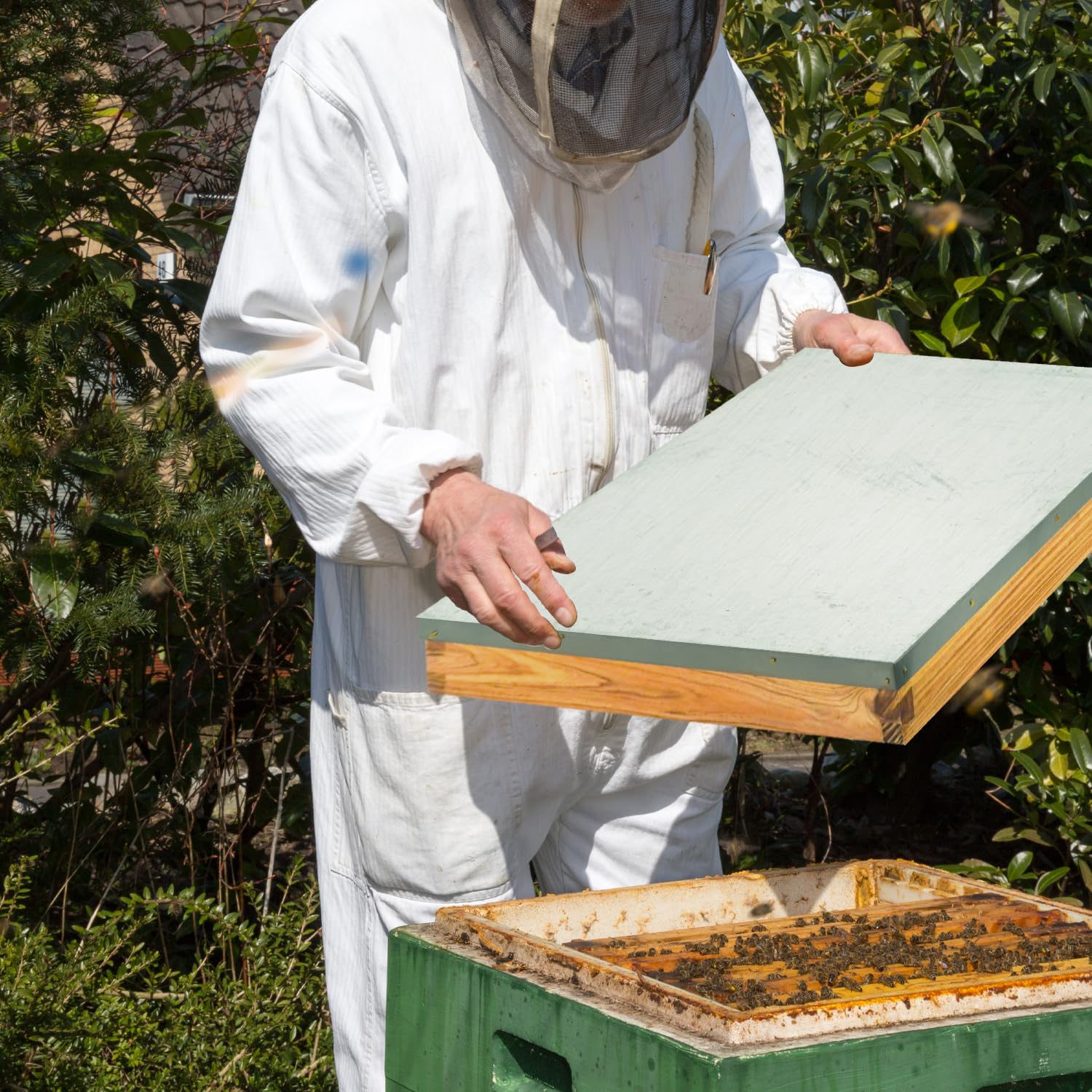 Cubierta telescópica de colmena de abeja con 8 marcos de metal, tapa superior de colmena, paquete de 2