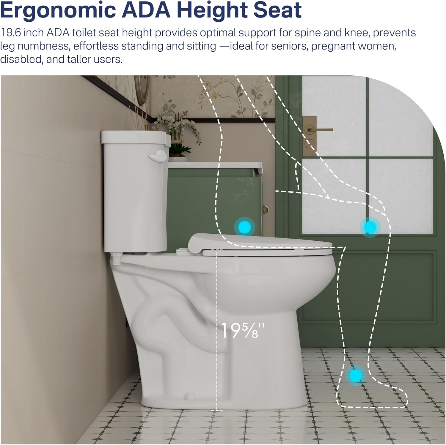 Eridanus Tall Two Piece Toilet, ADA Compliant Chair Height 19.7", Elongated Toilets Bowl 19" with Soft Close Seat, Single Flush 1.28 GPF Powerful Siphon, 12" Rough-In Floor Mounted Commode for Seniors