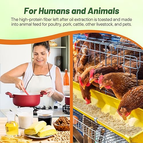 Miniatura 6 de Outsidepride Semillas de soja para forraje, parcelas de alimentos, alimentación de vida silvestre - 5 LBS