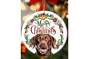 Chocolate Lab Gifts - A Unique Keepsake for Labrador Retriever Lovers