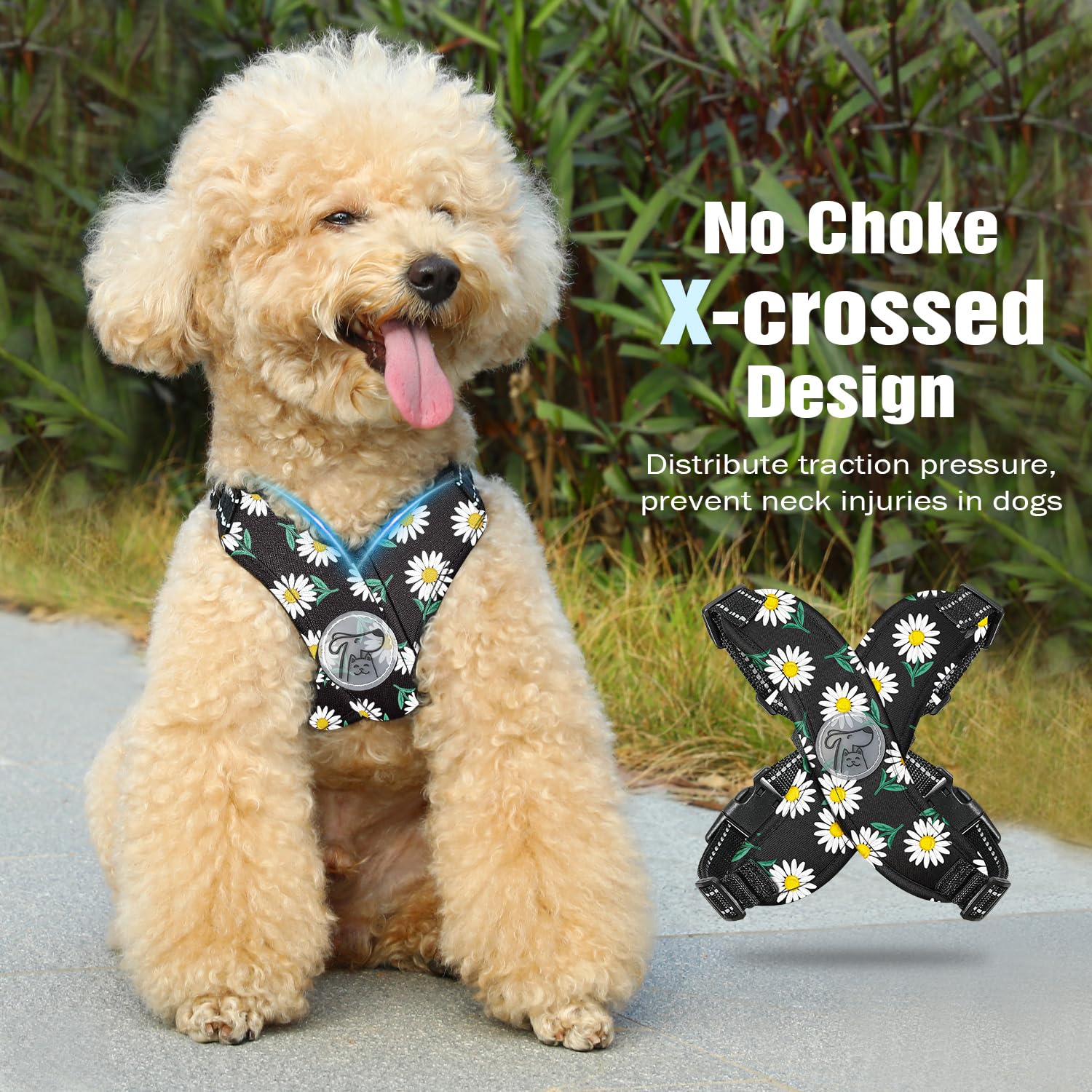 Pawaboo Puppy Harness and Lead Sets, Small Dog Harness X-Frame No Pull No Choke - Image 3