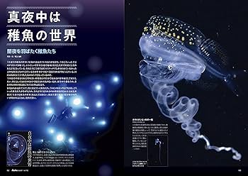 マリンアクアリスト　　102冊セット マリンアクアリストNo.102 |本 | 通販 | Amazon