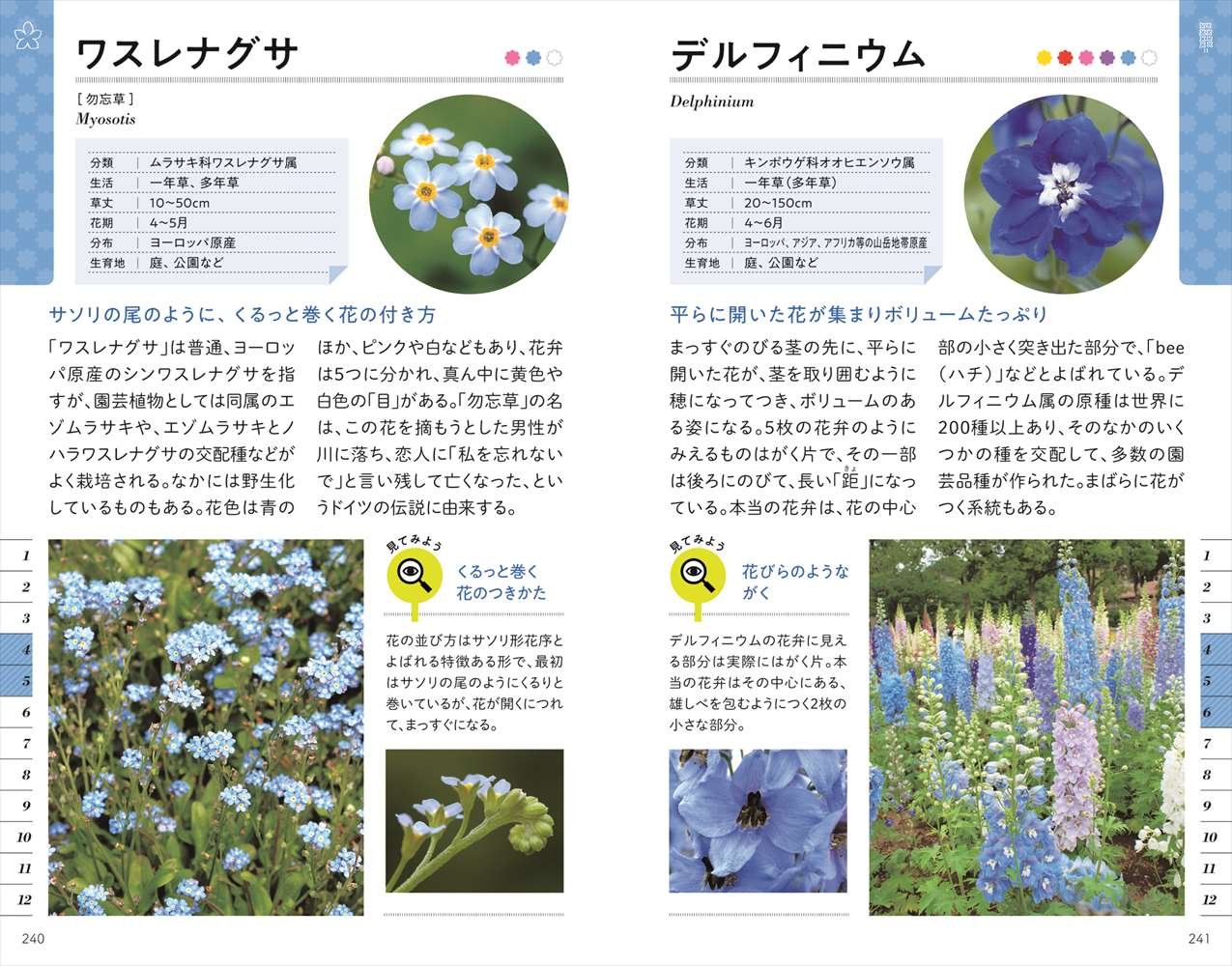 色と形で見わけ散歩を楽しむ花図鑑 大地佳子 小池安比古 亀田龍吉 本 通販 Amazon