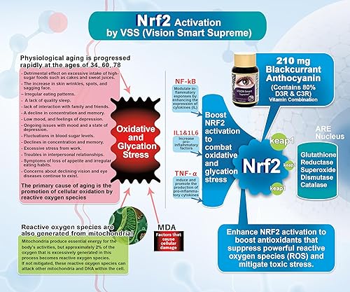 Miniatura 5 de Vision Smart Supreme - Suplemento superior para los ojos, ingredientes nutracéuticos premium con 210 mg de antocianinas puras de D3R y C3R, cápsulas