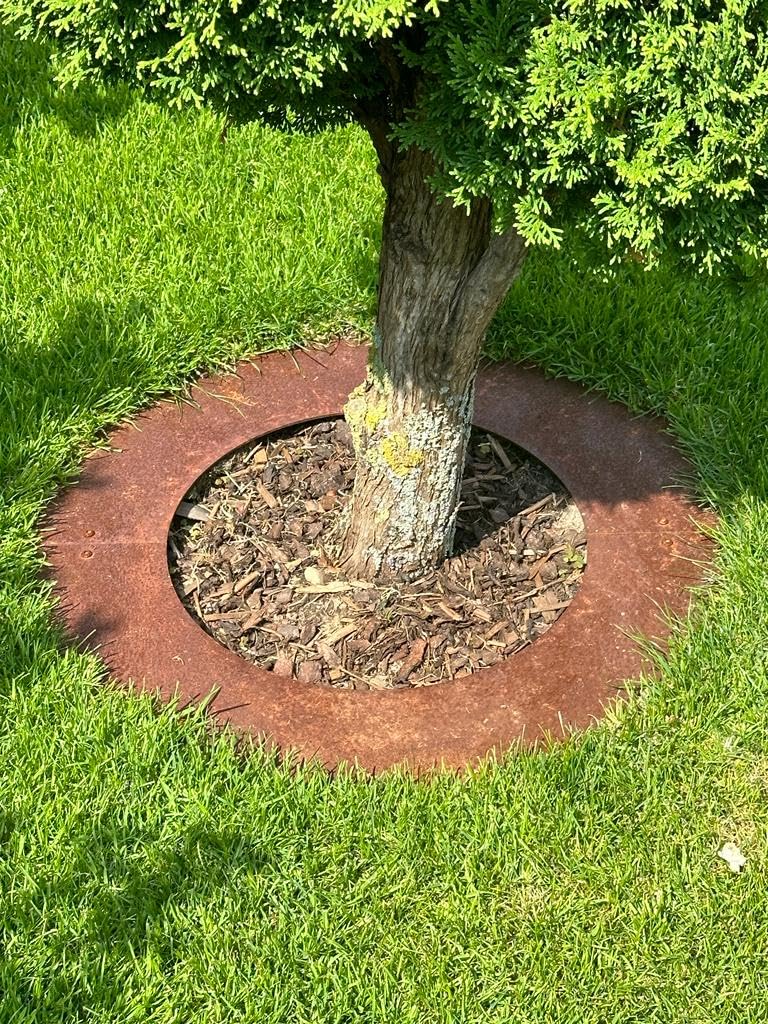 Rasenkanten Baumring FLACH aus Cortenstahl Ø 30/60 cm Mähroboter Mähkante für Bäume und Sträucher