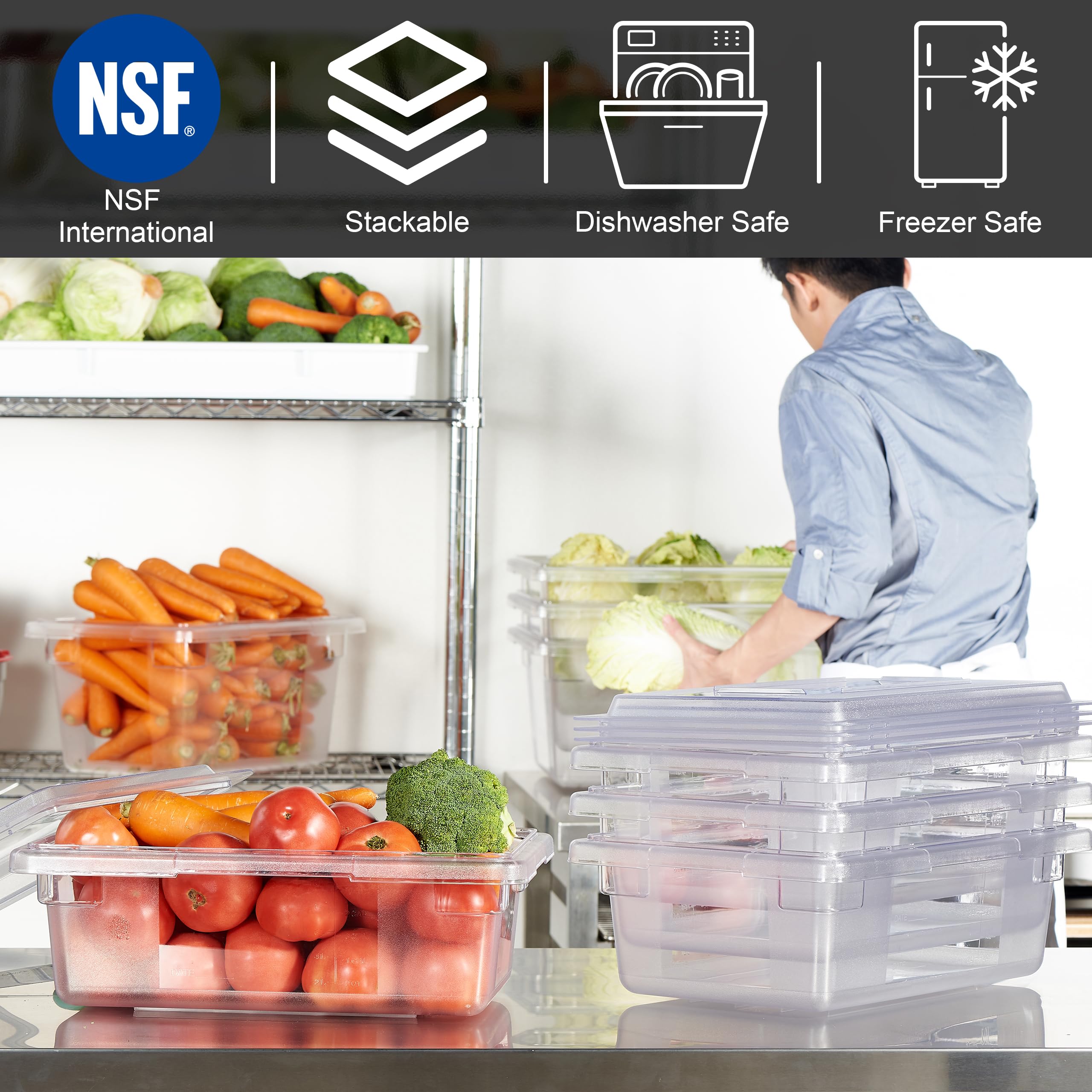 Contenori quadrati in policarbonato trasparente per alimenti
