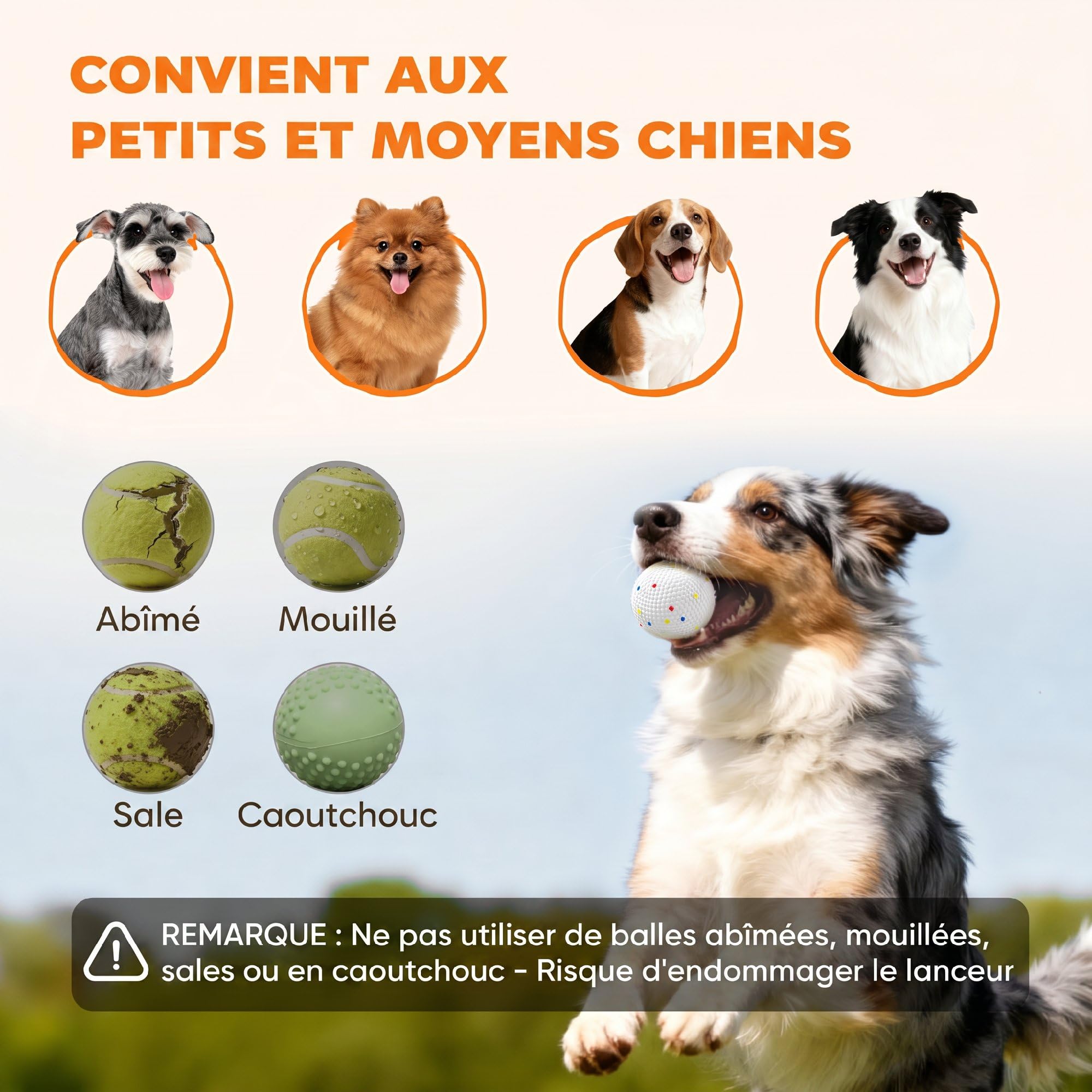 PawHut Lanceur Automatique de Balles pour Chiens Petits et Moyens avec 3 Balles en ETPU, 3 Distances (6m/10m/14m), Jouet d'Entraînement Intérieur Extérieur, Bleu