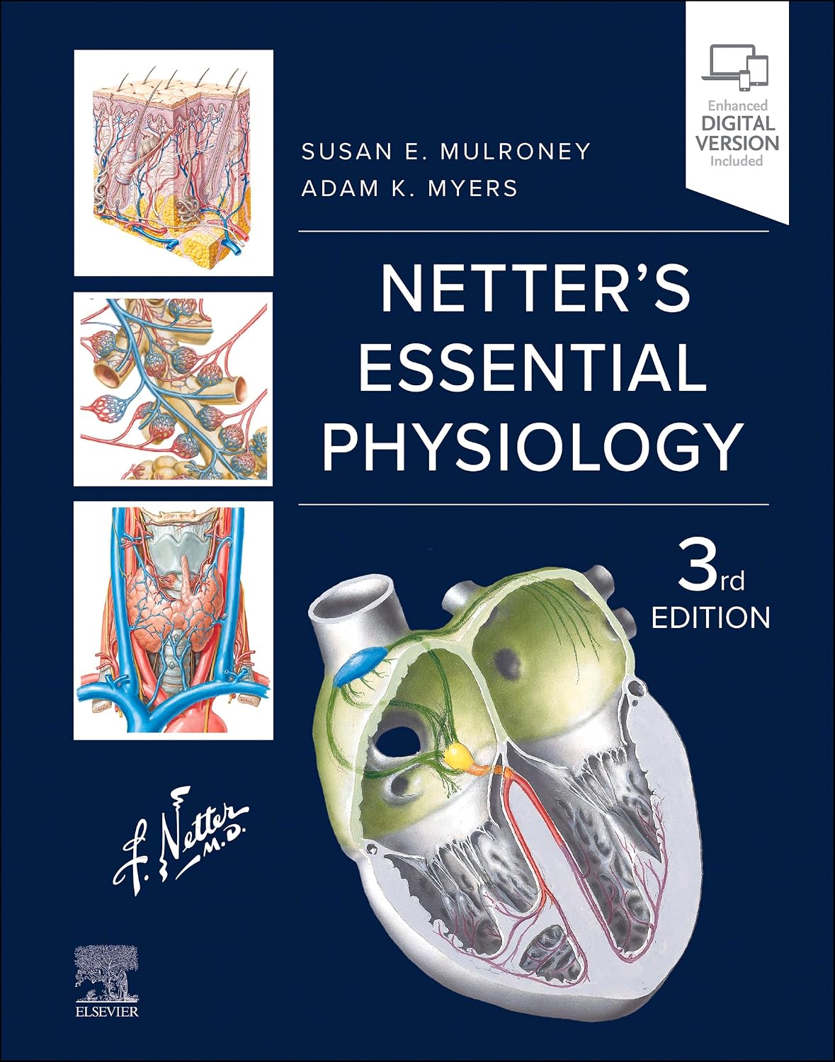 Netter's Essential Physiology - E-Book (Netter Basic Science)