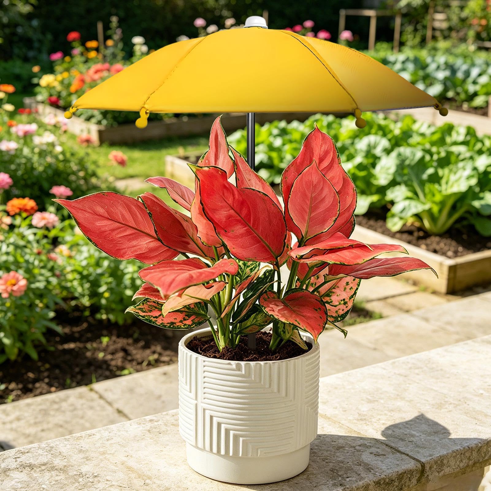 Pflanzenschirme Für Draußen, 27CM Pflanzenschirme Für Outdoor Pflanzen, UV Sonnenschutz Sonnenschirm Pflanzen Regenschirme Garten, Wetterfest Pflanzenschirm Pflanze Im Freien Gartenschirm Schatten