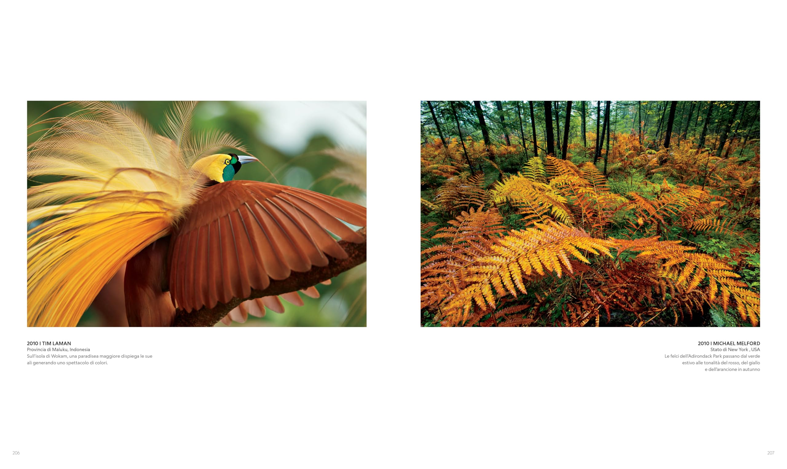 Il XXI secolo attraverso le fotografie di National Geographic. Ediz. a colori