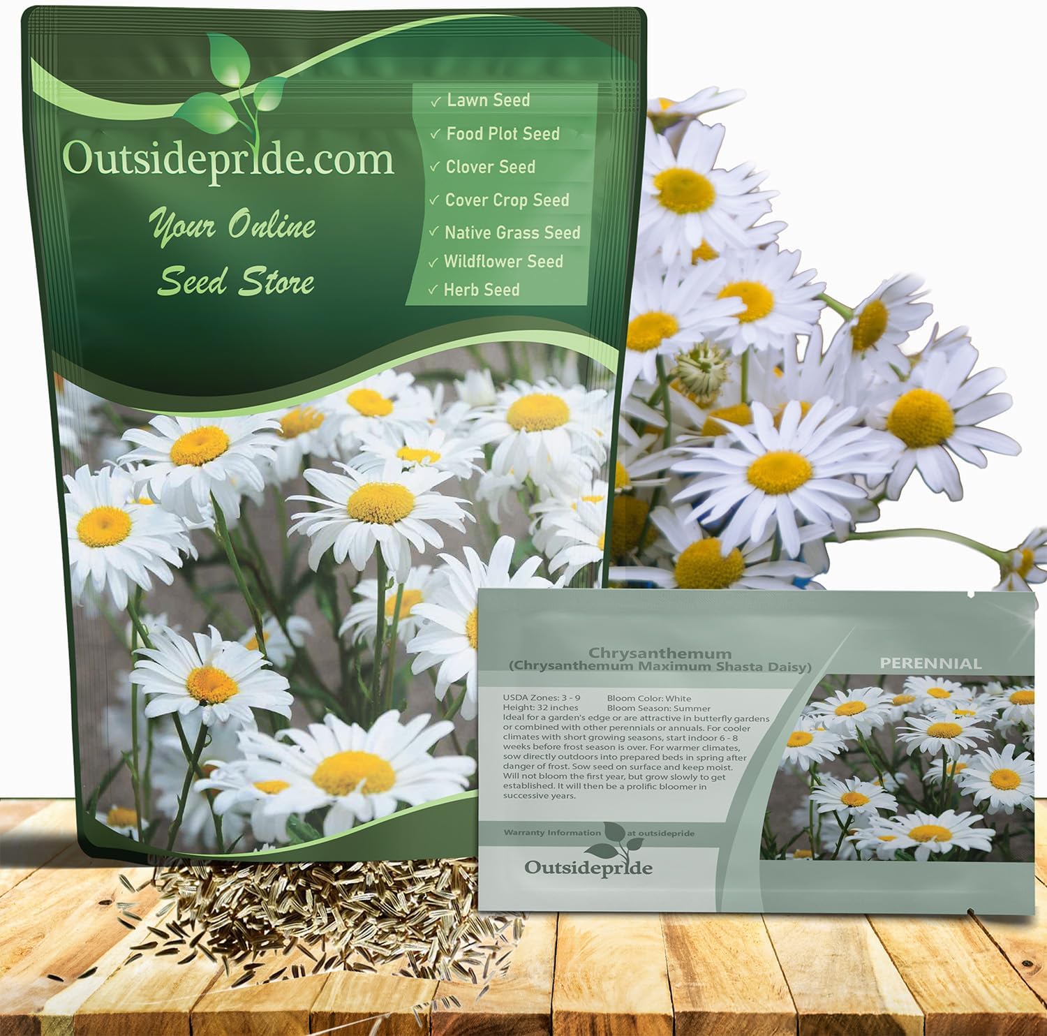 Outsidepride Shasta Daisy Chrysanthemum Seeds - 5000 Pcs. Perennial Deer Proof, Drought Tolerant, Wildflower Seeds for Pollinator Gardens, Cut Flowers & Water-Efficient, Low Maintenance Landscaping