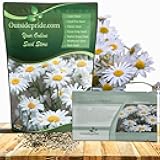 Shasta Daisy Chrysanthemum Seeds - 5000 Pcs. Perennial Deer Proof, Drought Tolerant, Wildflower Seeds for Pollinator Gardens, Cut Flowers & Water-Efficient, Low Maintenance Landscaping