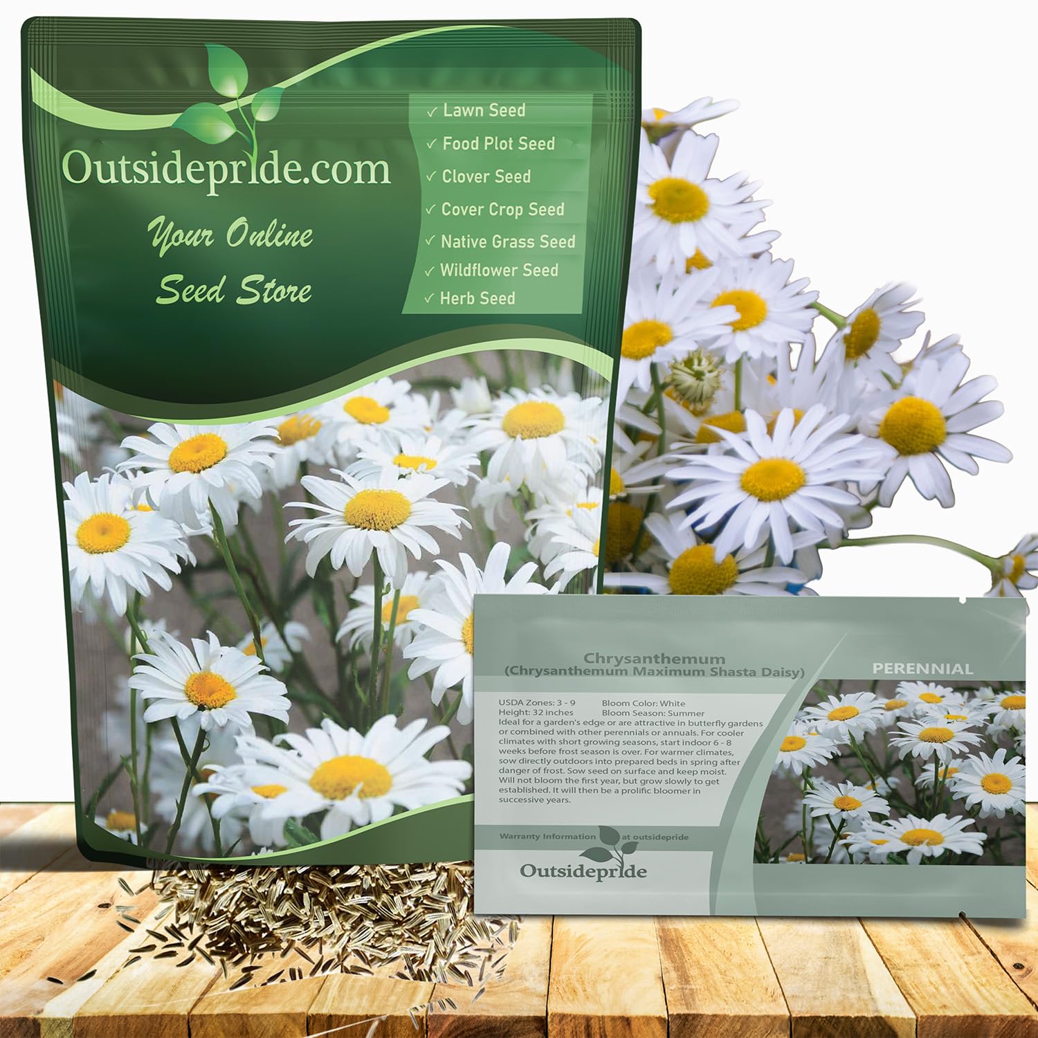 Outsidepride Shasta Daisy Chrysanthemum Seeds - 5000 Pcs. Perennial Deer Proof, Drought Tolerant, Wildflower Seeds for Pollinator Gardens, Cut Flowers & Water-Efficient, Low Maintenance Landscaping