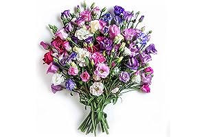 Lisianthus Flower Seeds - Express Sincere Love with Graceful Blooms
