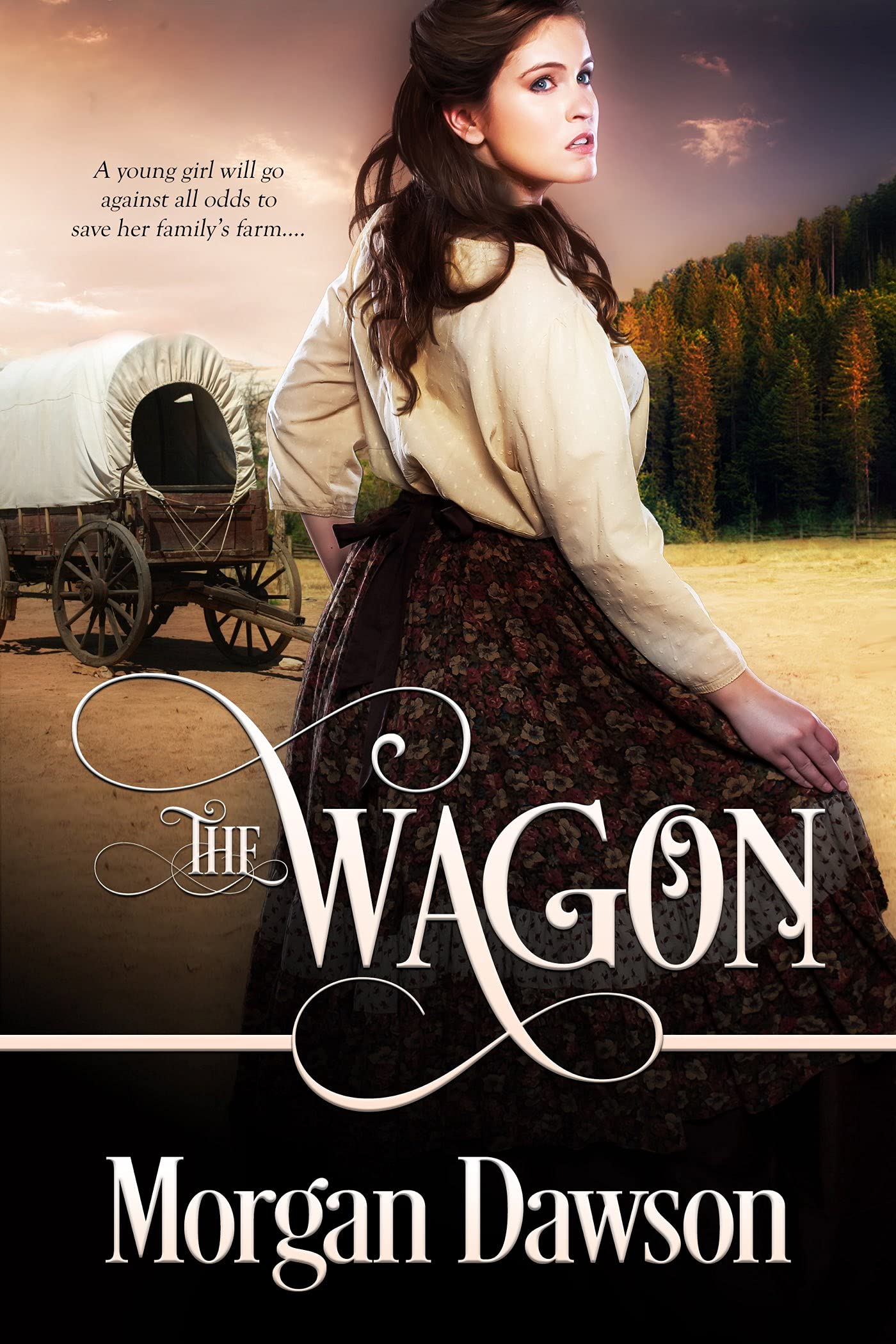 The Wagon (Carter Sisters Series Book 1)