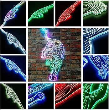 Amazon.com: ADVPRO Tiger Walk to You RGB Dynamic Glam LED Sign