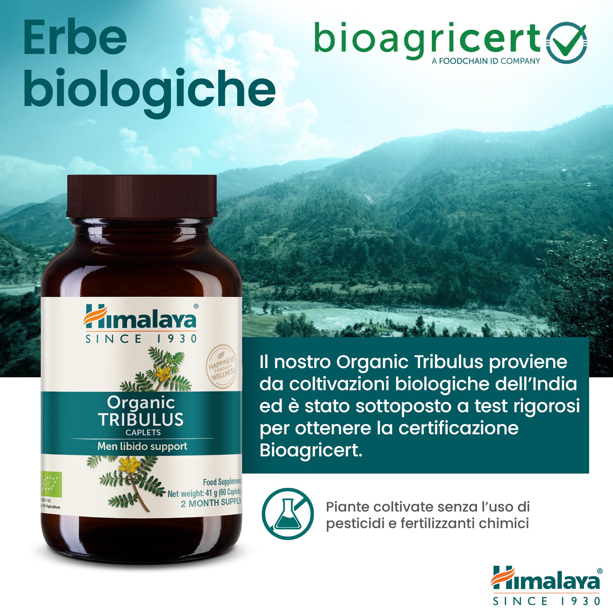 Himalaya Tribulus organico (Gokshura) per la salute maschile, libido, supporto urinario, resistenza, energia, 688 mg, fornitura per 2 mesi, 60 capsule
