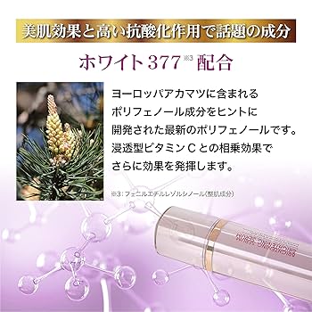 家庭用美容器 プラチナホワイトHR 新品未使用 即発送 楽天市場】【ふるさと納税】ヤーマン RF・EMS美顔器 ブライト