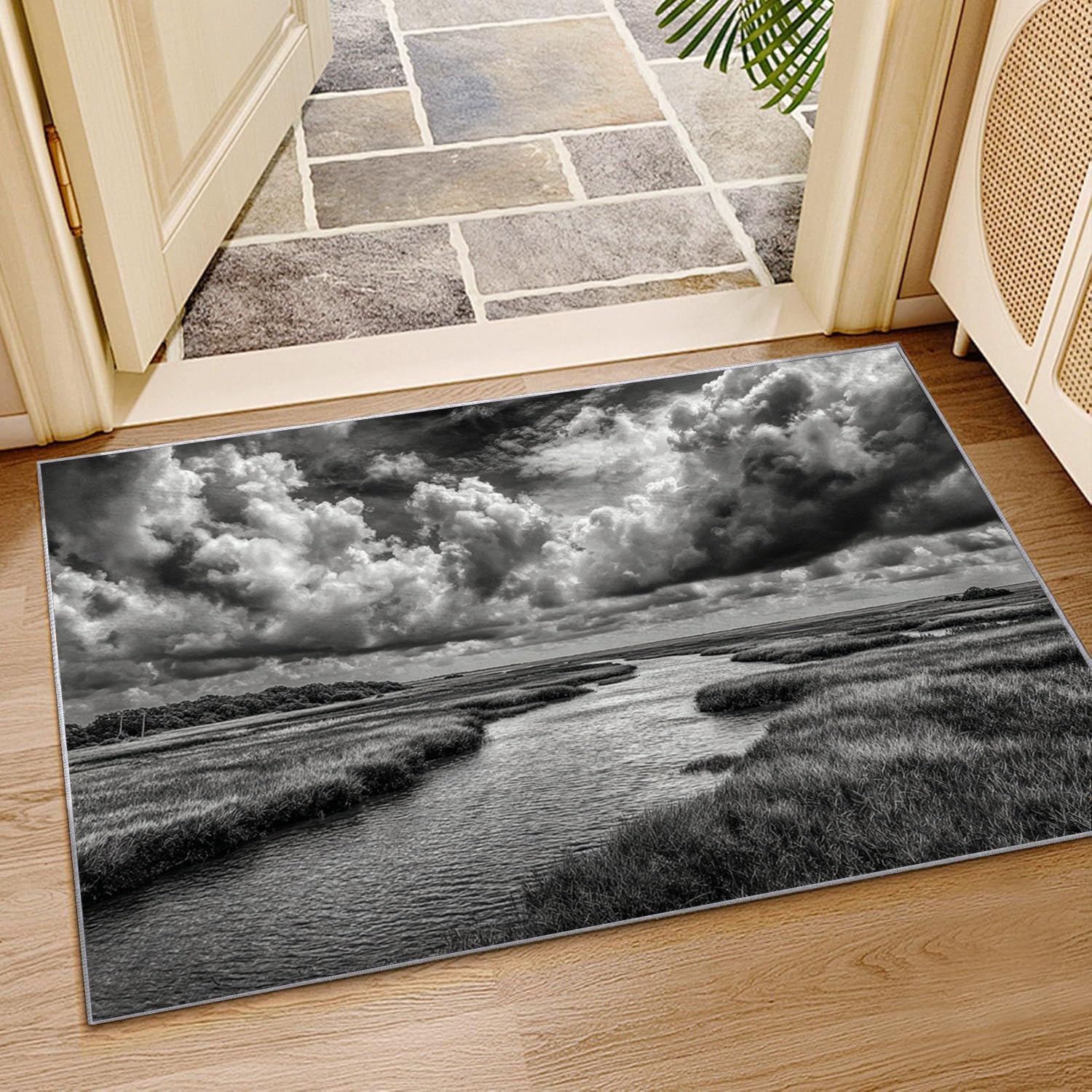 Kolorowy drukowany dywan do salonu rzeka pod chmurami do łazienki, kuchni (czarno-biały)-120x180cm