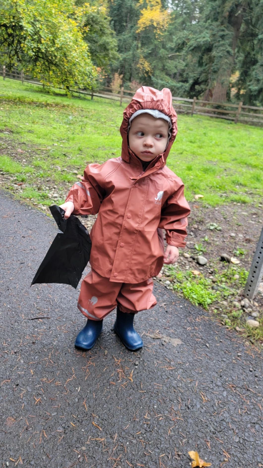 Rain Suit CeLaVi Kids Rainsuit For BoysGirls With Detachable India