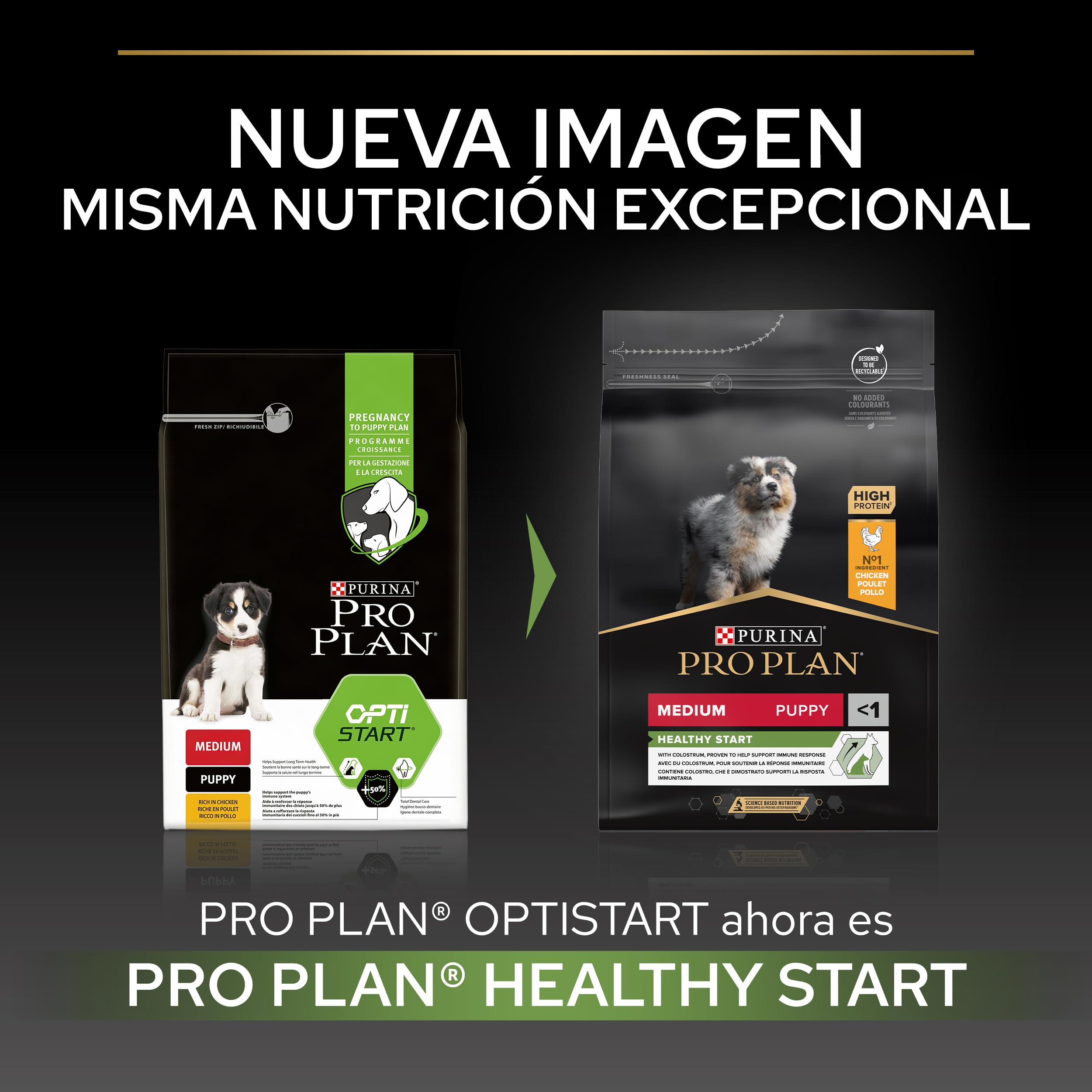 Pro Plan Medium Puppy Healthy Start, Welpenfutter trocken, reich an Huhn, 1er Pack (1 x 12 kg)