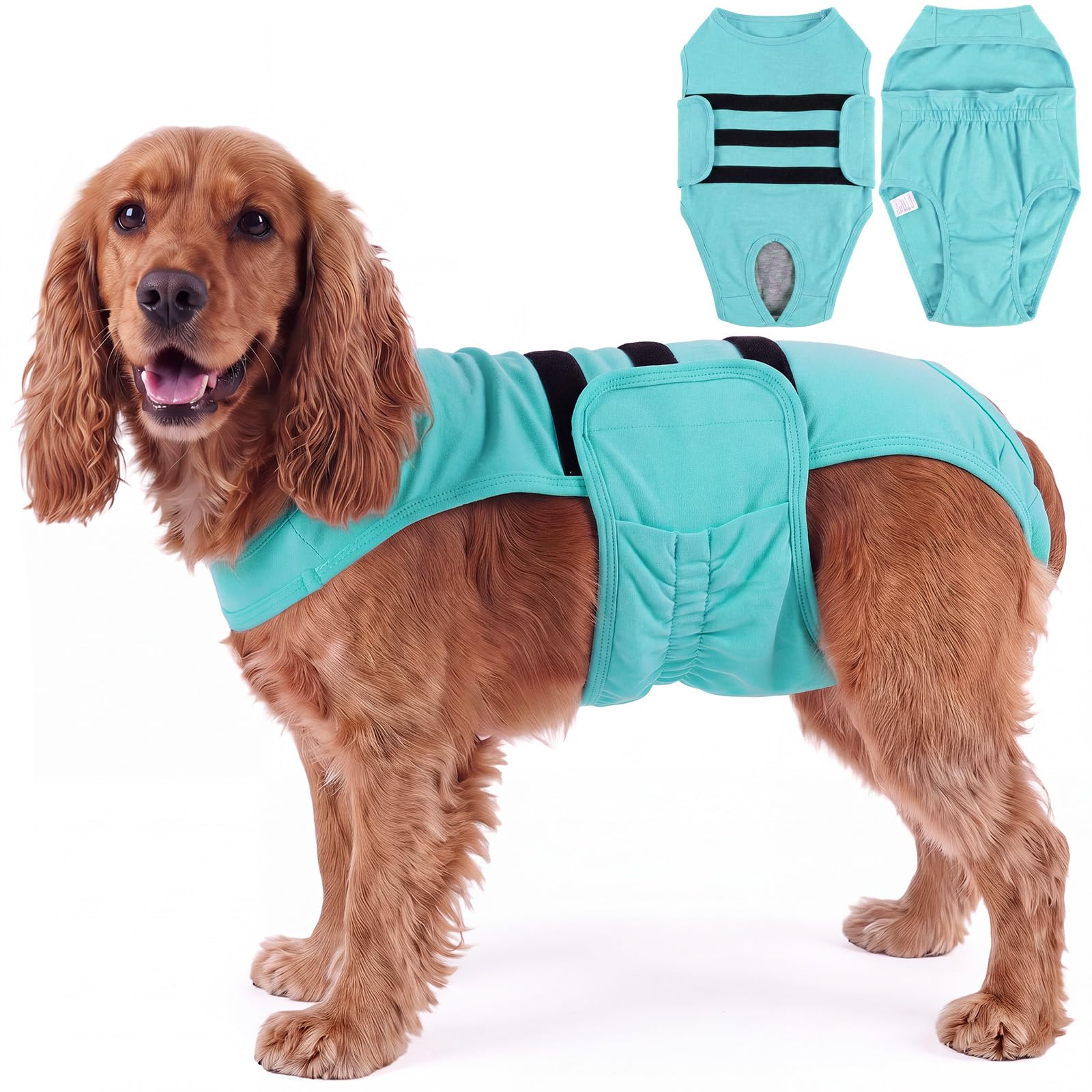 Lelepet Female Dog Diapers with Anti-Slip Suspender, Blue M
