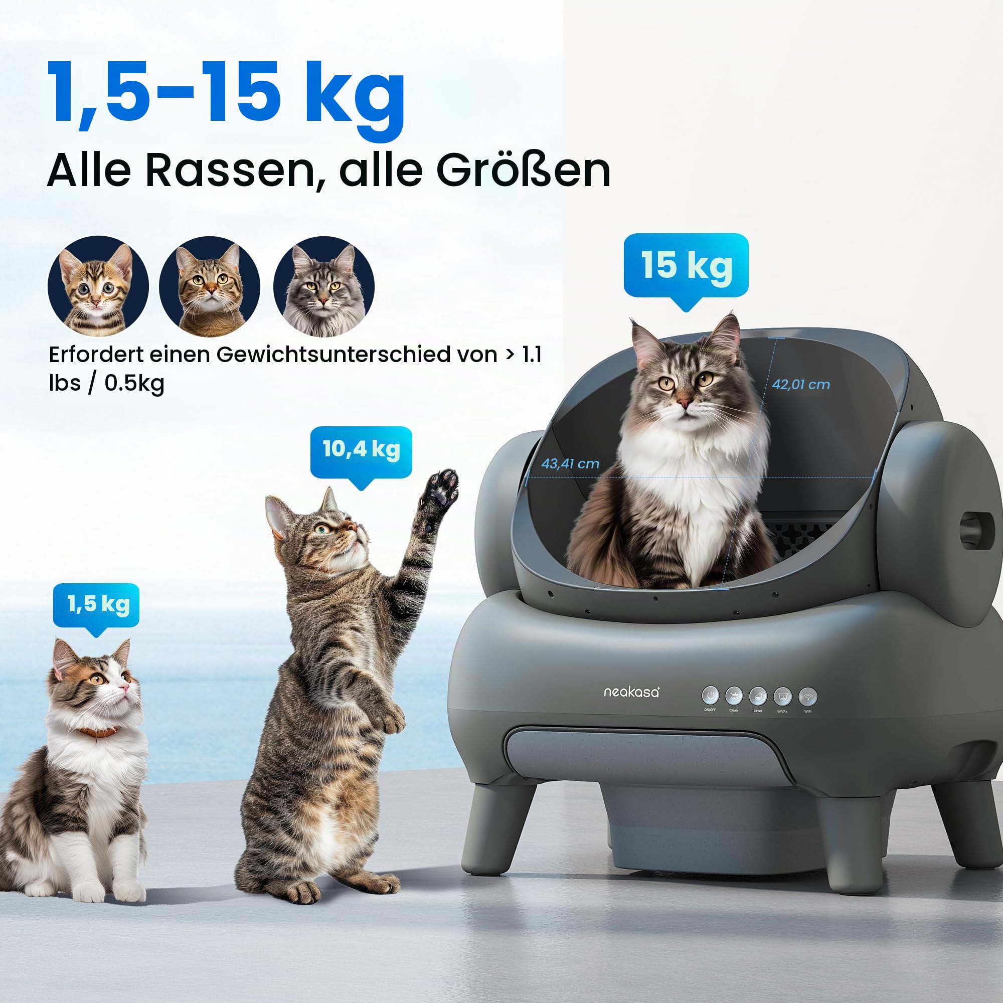 Neakasa M1 Plus Selbstreinigende Katzentoilette mit offenes Design & 3-in-1 Katzenklo Rampe