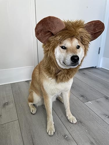 Miniatura 3 de ComfyCamper Disfraz de oso peludo para perro, lindos disfraces de león de animales, cosplay para mascotas, Halloween, Navidad (pequeño)