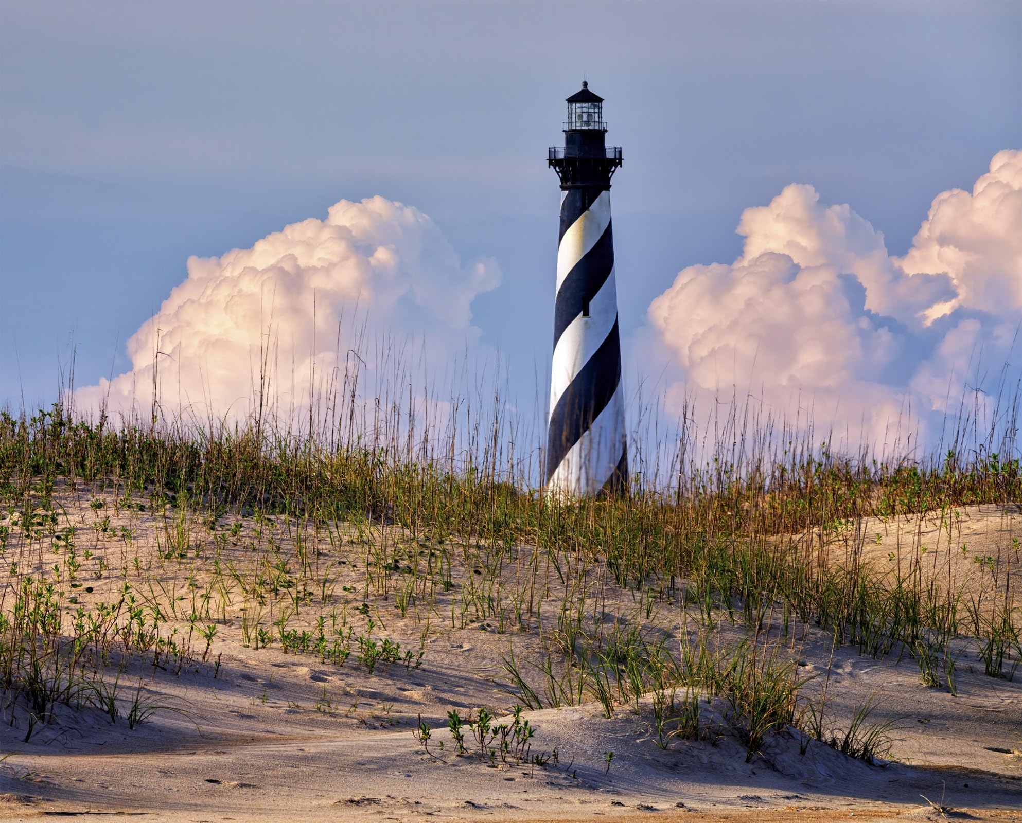 Cape Hatteras Lighthouse On The Dunes Cotton Fabric Panel David Textiles GL 0065