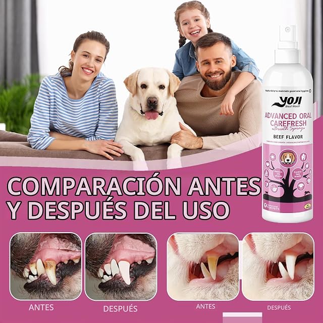 Foto 7 de 7 de LureLuxe 200ml Spray Dental para Perros Y Gatos,Spray Bucal para Mascotas,Cuidado Oral para Perros…