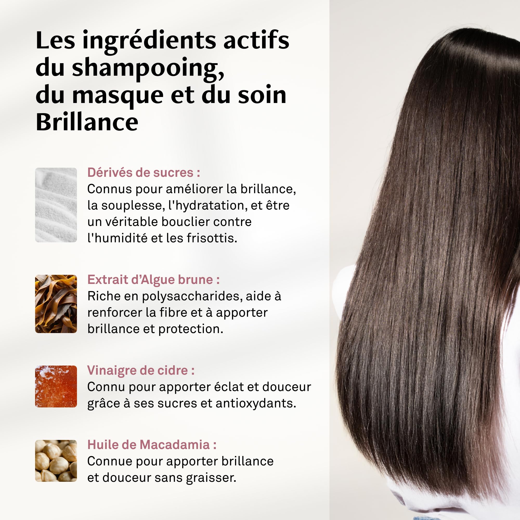 LUXEOL - Protocole Brillance - Pour des cheveux brillants, hydratés et sans frisottis pendant 96h - Shampooing (200 ml) + Masque (200 ml) + Soin (200 ml) + Huile cheveux (50ml) - Fabriqué En France