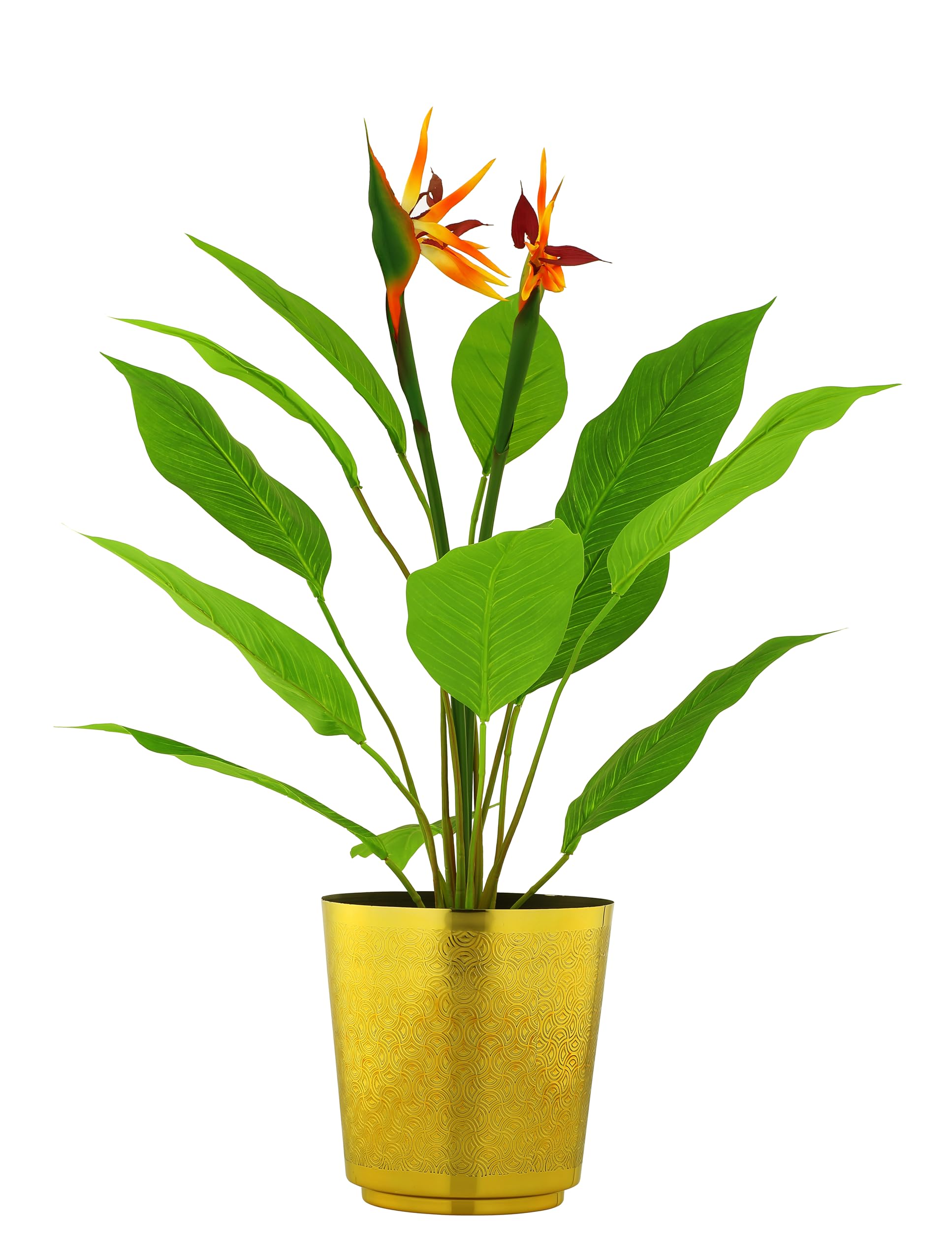 Rust & Shine Perch Planter Cachepot - Gold Finish | Aesthetic Round Iron Metal Plant Display Pot for Home, Office, Living Room & Drawing Room Decor | Durable and Versatile for Botanicals (B0D8KQ1Z3D) Amazon Price History, Amazon Price Tracker