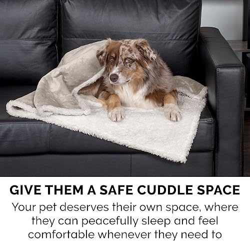 Miniatura 9 de Furhaven Manta impermeable y autocalentable para perros y gatos de interior, lavable y refleja el calor corporal, manta de rizo y sherpa con bordes