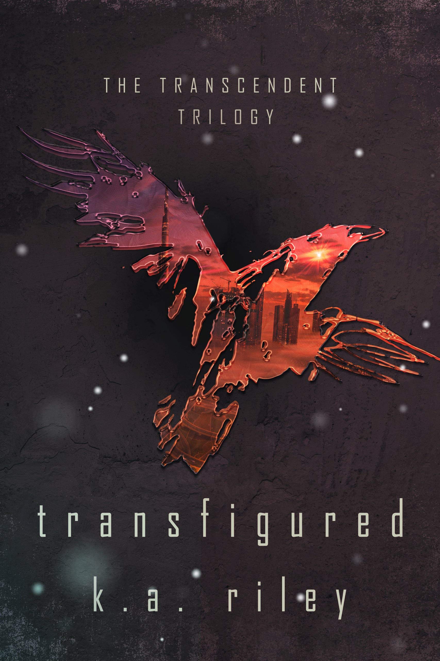 Transfigured (The Transcendent Trilogy Book 2)