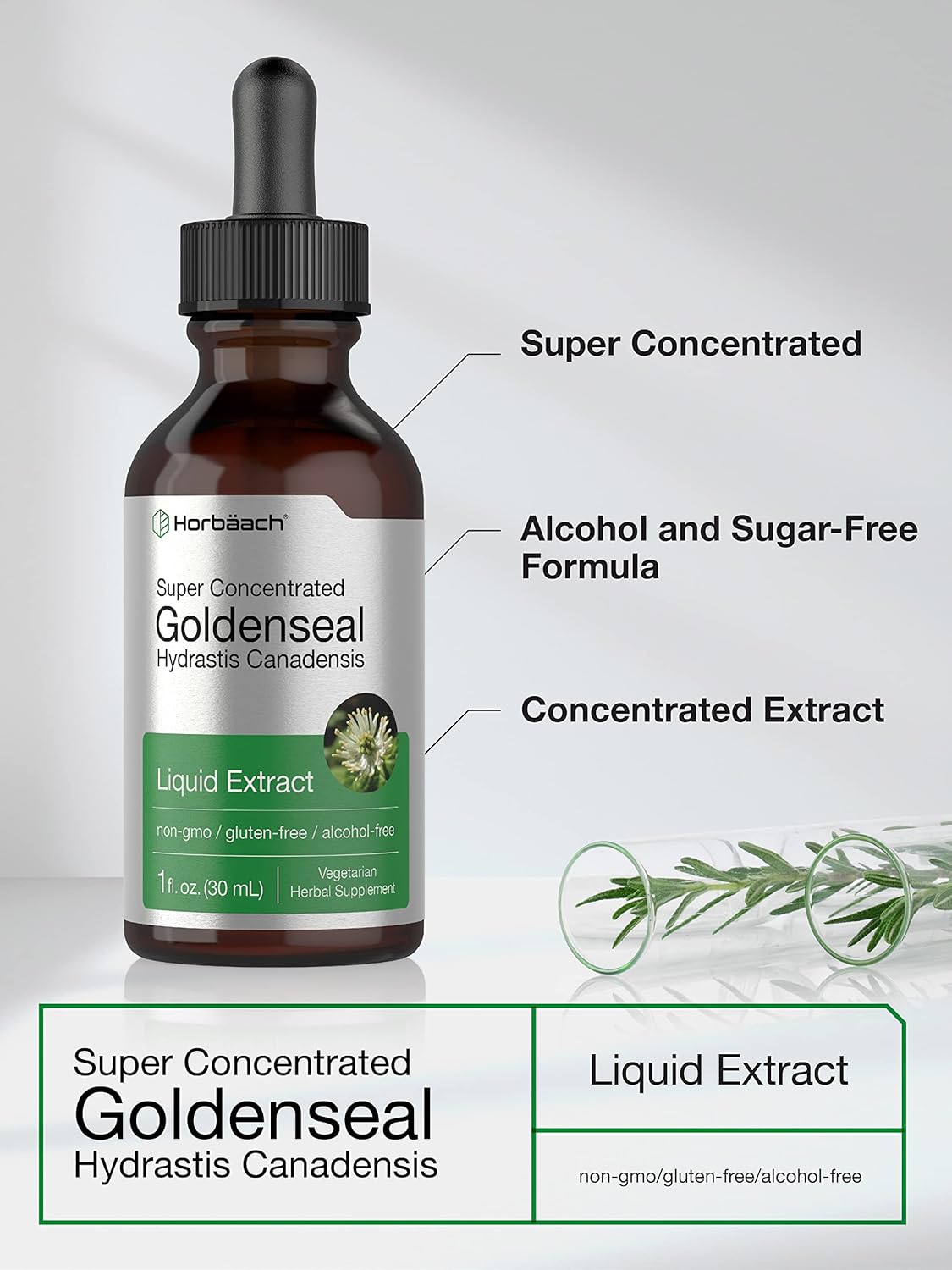 Horbaach Goldenseal Tincture Liquid Extract | 1 fl oz | Hydrastis Canadensis | Alcohol Free | Vegetarian, Non-GMO & Gluten Free - Image 3