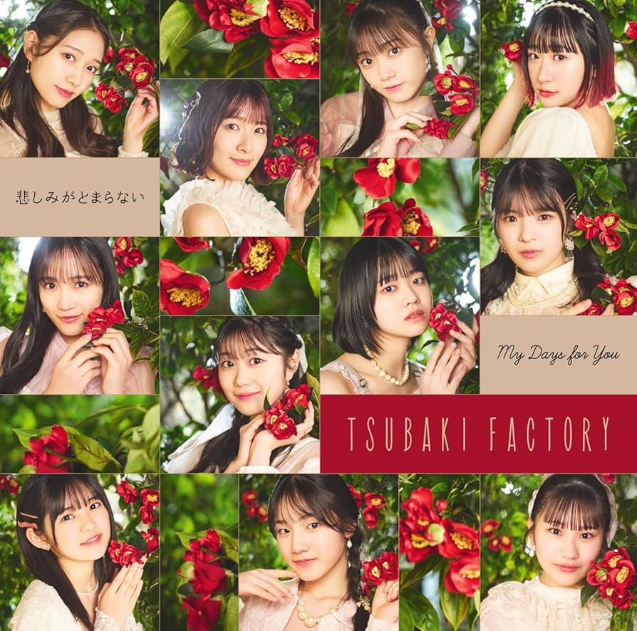 Amazon.co.jp: My Days for You／悲しみがとまらない (初回生産