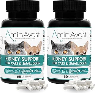 Managing Stage 2 Kidney Disease In Cats: What You Need To Know | PetShun