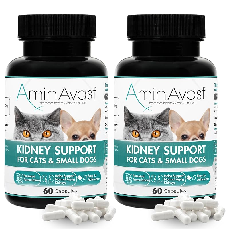 Suplemento AminAvast em Cápsulas para Gatos e Cães Pequenos, Blend de Aminoácidos e Peptídeo, 300 mg, Pacote com 2 de 60 Unidades