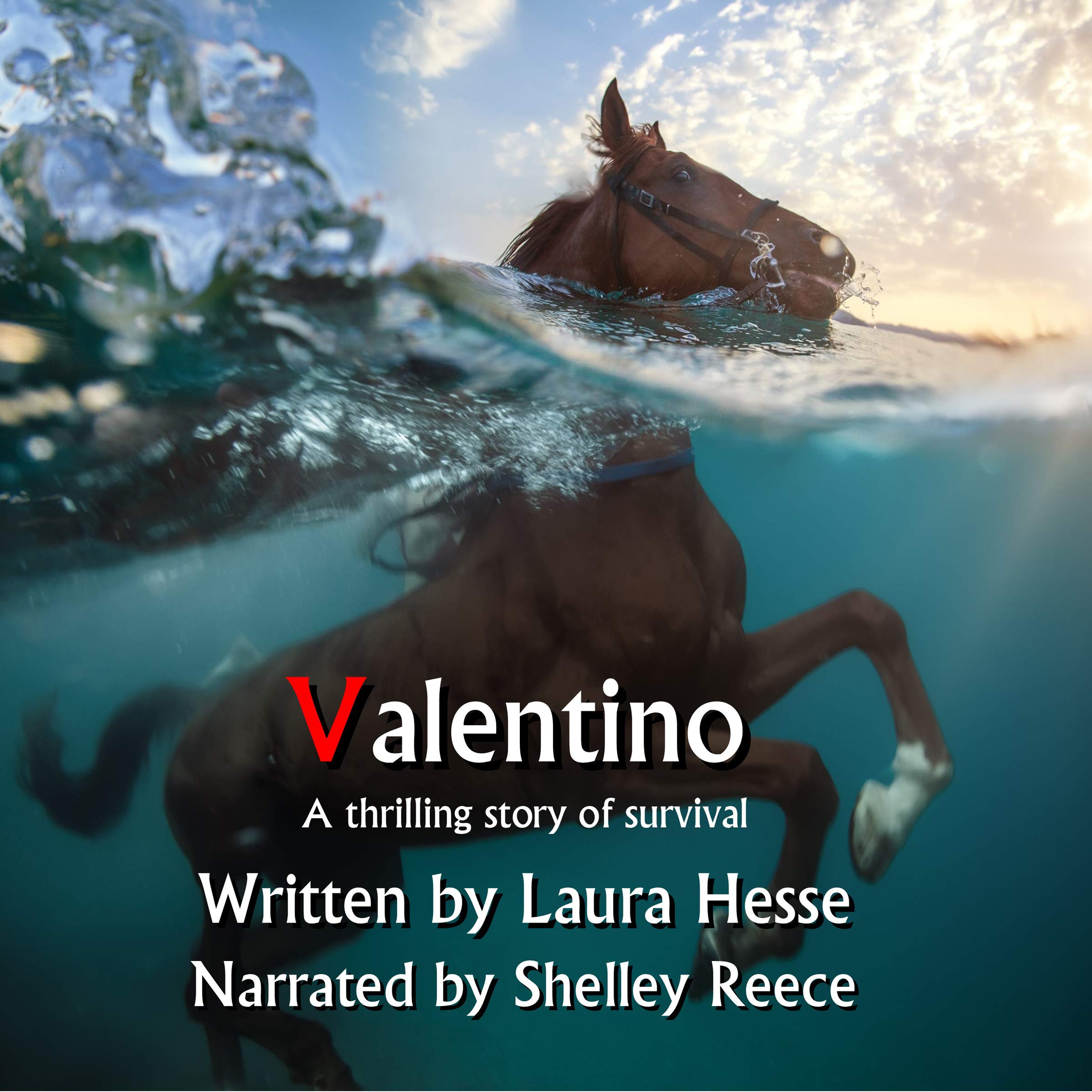 Cover art for Valentino
