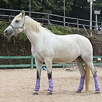 Vista 26 de LEAFOREST Horse Fly Boots Set of 4 - Non Slip Leg Protection for Donkey Mini Pony Draft, Breathable Mesh Fly Boots for Pasture & Barn Use Grey Full