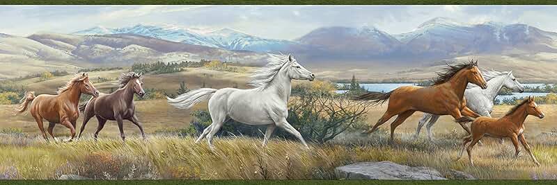 Amazon.com: horse wallpaper border