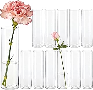 Der Rose Kleine Vasen für Tischdeko 15cm Zylinder Vasen Set Modern Blumenvase für Home Hochzeit Party Deko 12 Stück