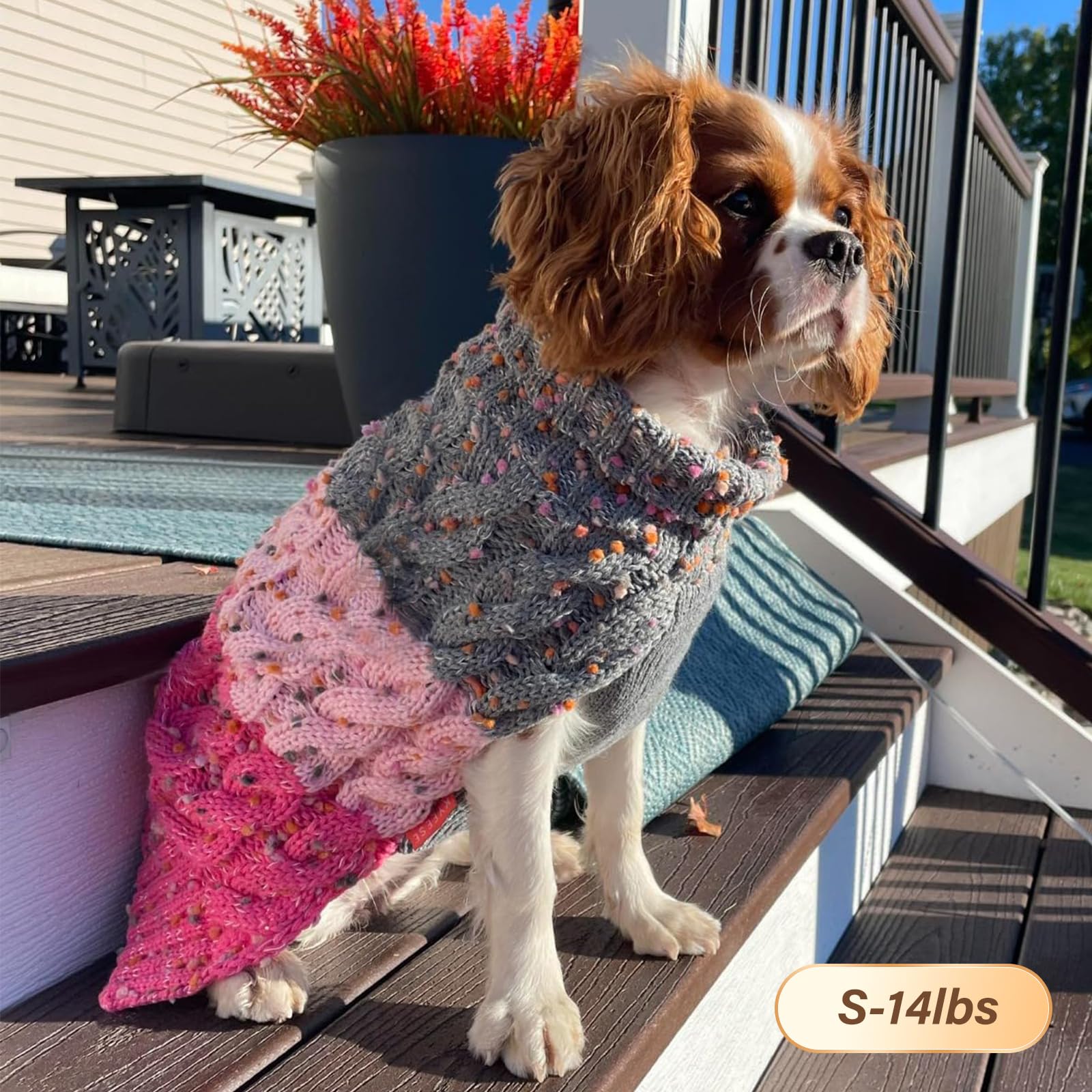 Dog Sweaters For Small Dogs Male Queenmore Small Dog Pullover - Main Image