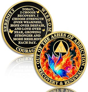 Butterfly in The Fire 11 Year Sobriety Coin Recovery and Renewal Eleven Year Sobriety Chip AA Chips and Medallion AA Coin Recovery Chip Sobriety Gifts for Men Women Alcoholics Anonymous Gift