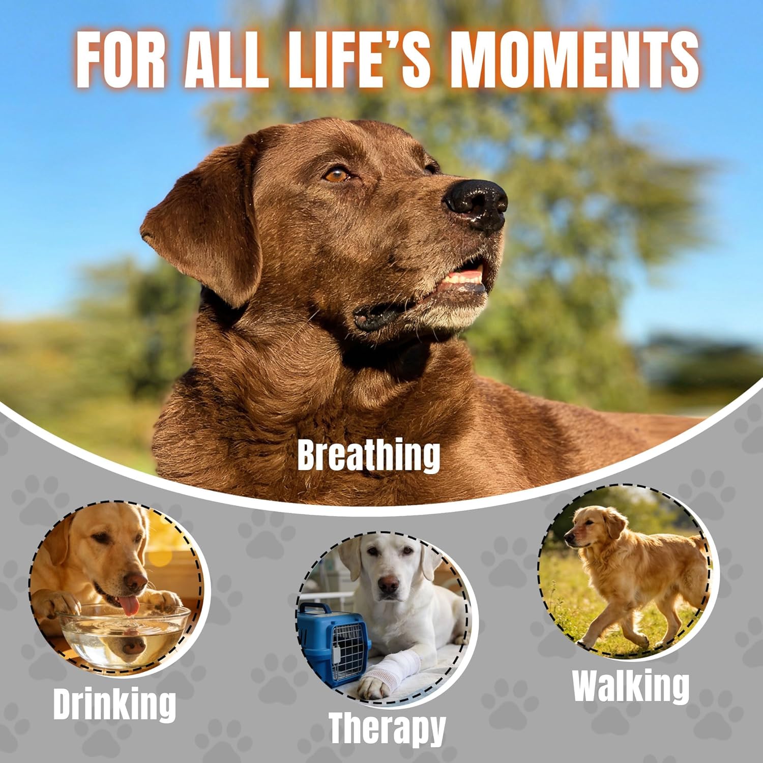 6 Sizes Dog Breathable Basket Muzzle Set for Small Medium Large Dogs Soft Nylon with Adjustable Straps Breathable Mesh Design Prevents Biting Scavenging for Walking Grooming and Training - Image 4